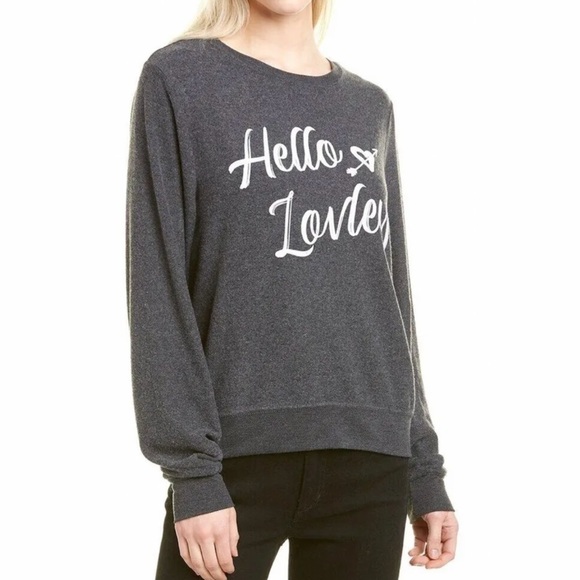 NWT Wildfox Hello Lovely Baggy Beach Jumper Sweatshirt Dark Grey - Picture 1 of 7